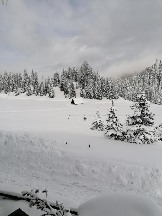 Almhaus Kaernten Flattnitz ภายนอก รูปภาพ