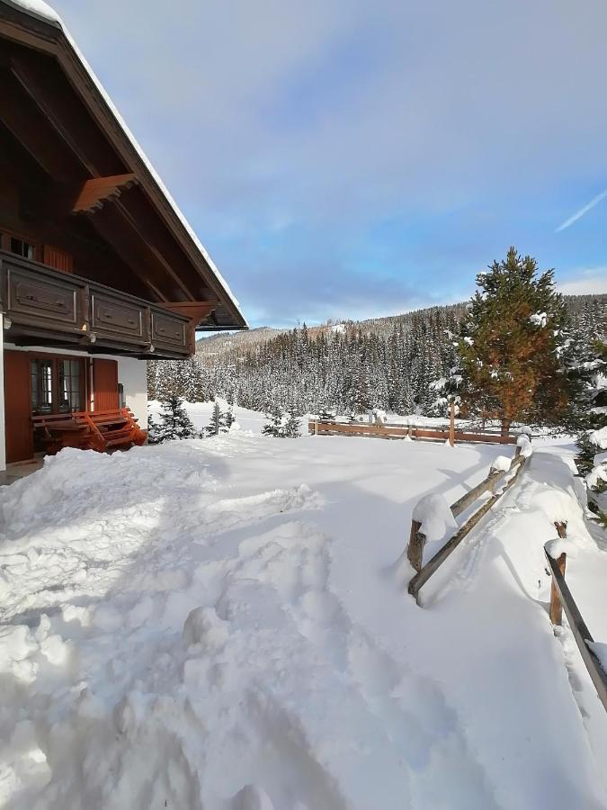 Almhaus Kaernten Flattnitz ภายนอก รูปภาพ