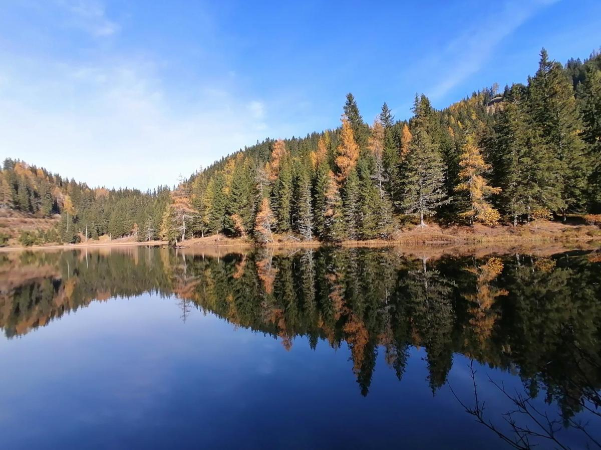 Almhaus Kaernten Flattnitz ภายนอก รูปภาพ