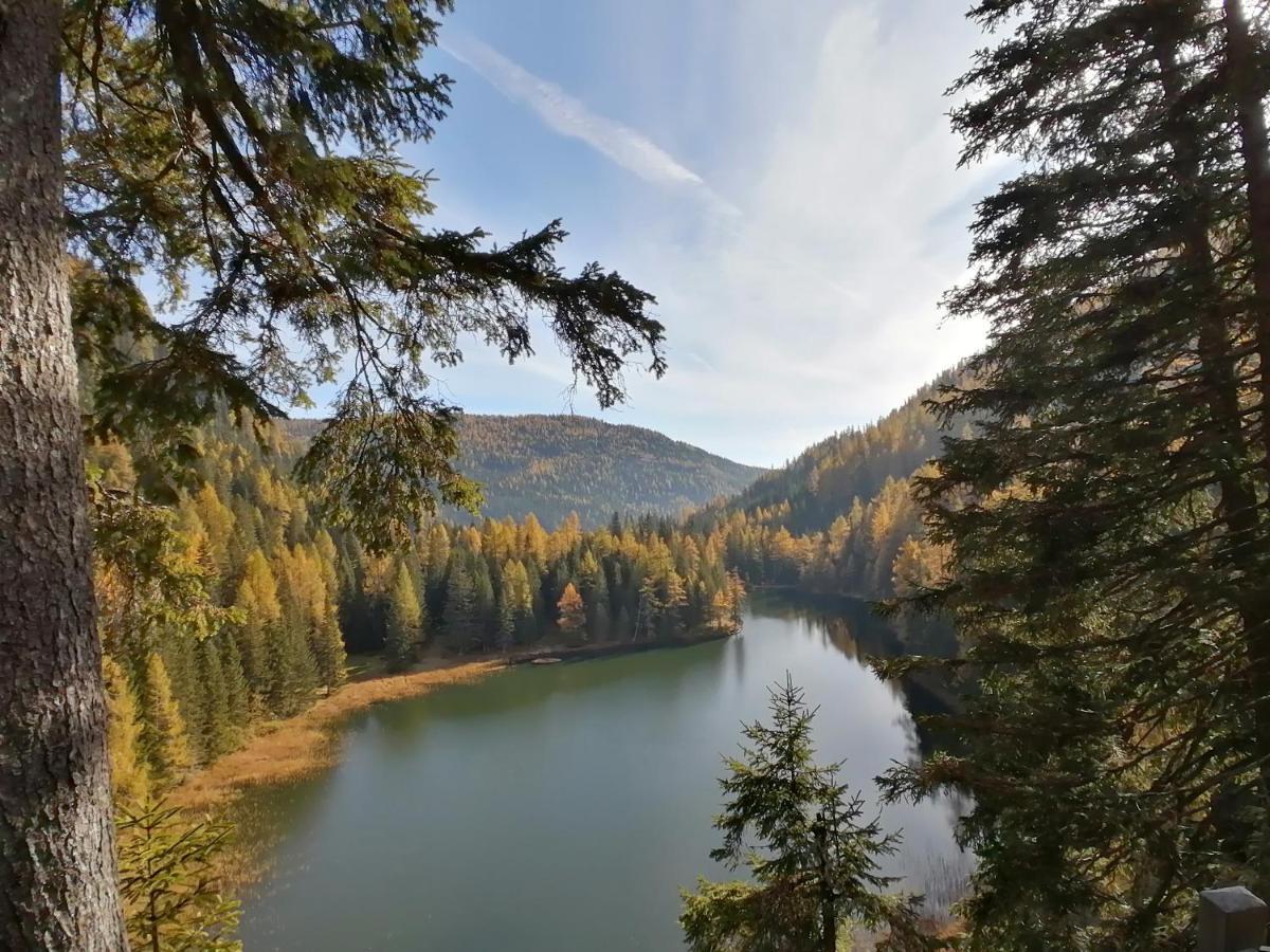 Almhaus Kaernten Flattnitz ภายนอก รูปภาพ