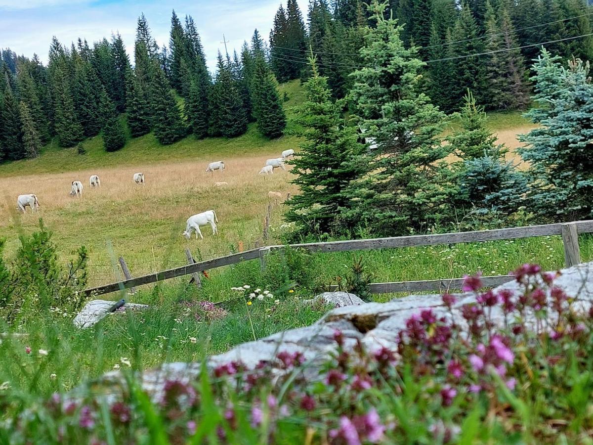 Almhaus Kaernten Flattnitz ภายนอก รูปภาพ